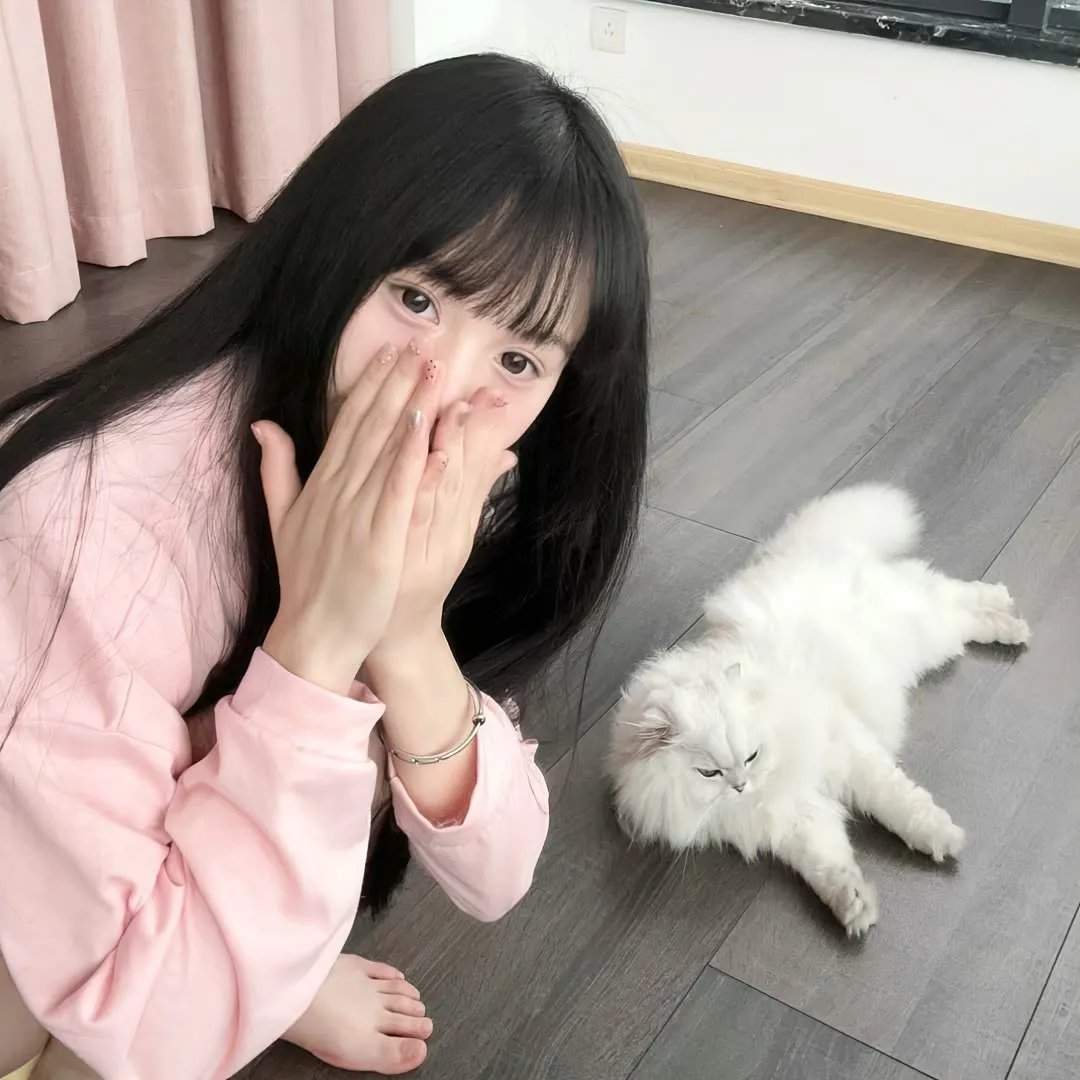 粉红蝴蝶